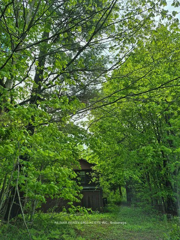 Photo 3 of 3763 Agnew Road, Severn, Washago — HOMEH