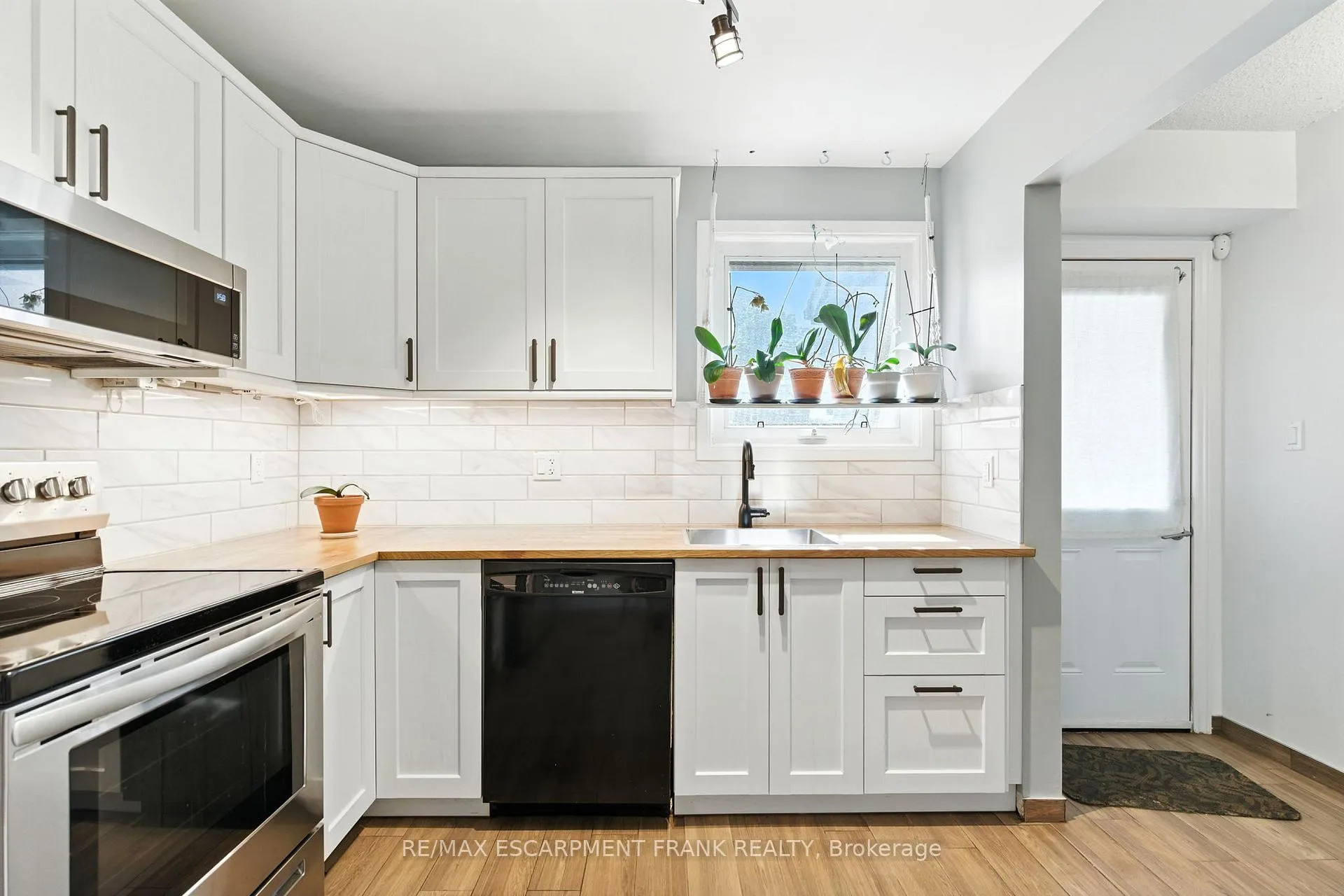 Photo 12 of 387 Franklin Road, Hamilton, Burkholme — HOMEH
