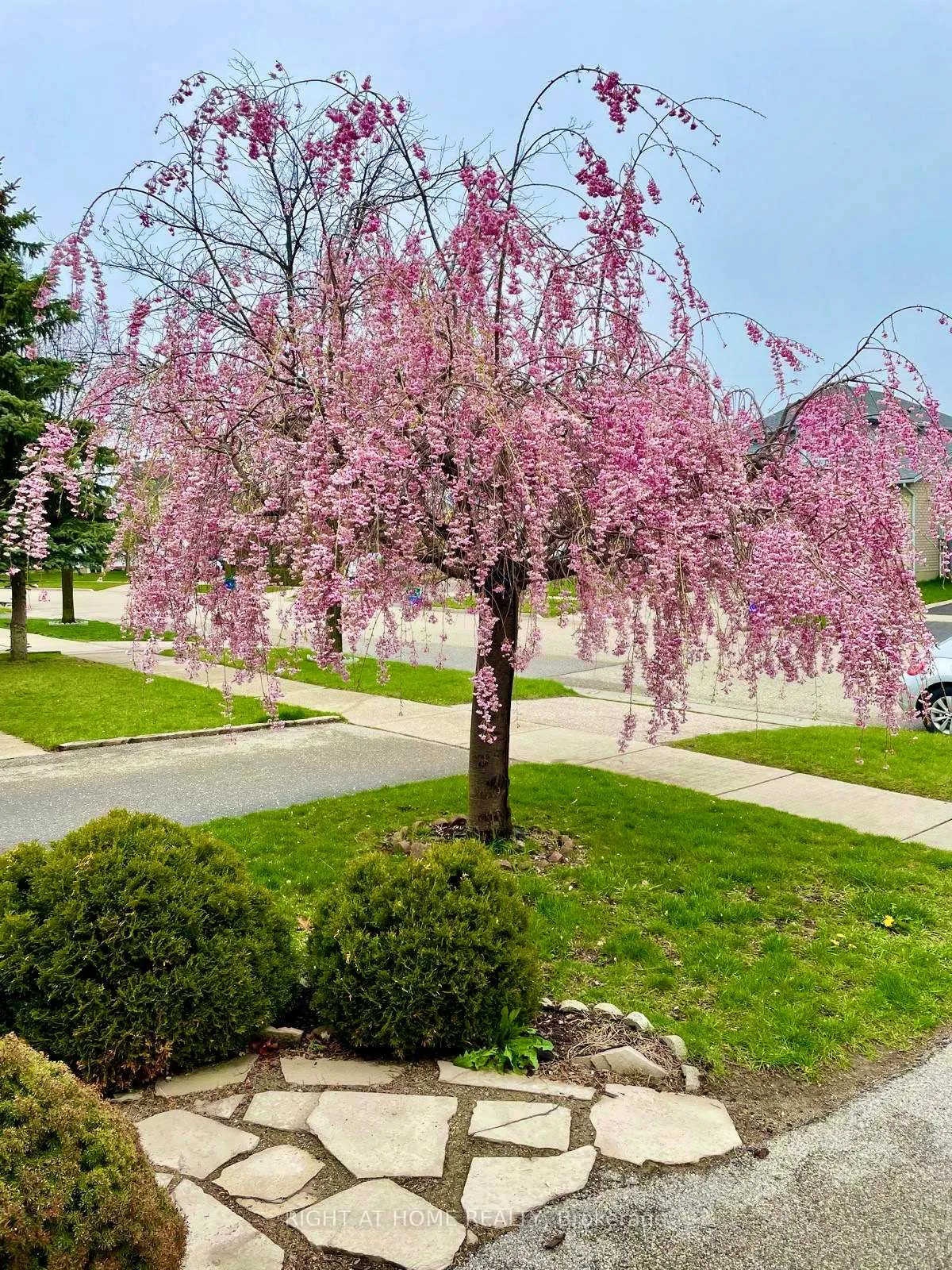 Photo 48 of 19 Windflower Drive, Kitchener — HOMEH