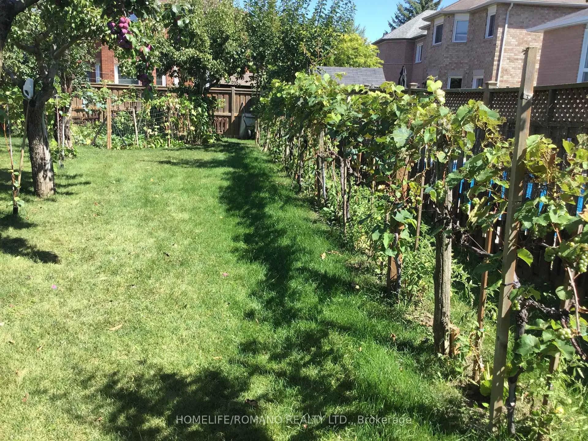 Photo 13 of 12 Boag Court, Barrie, Holly — HOMEH