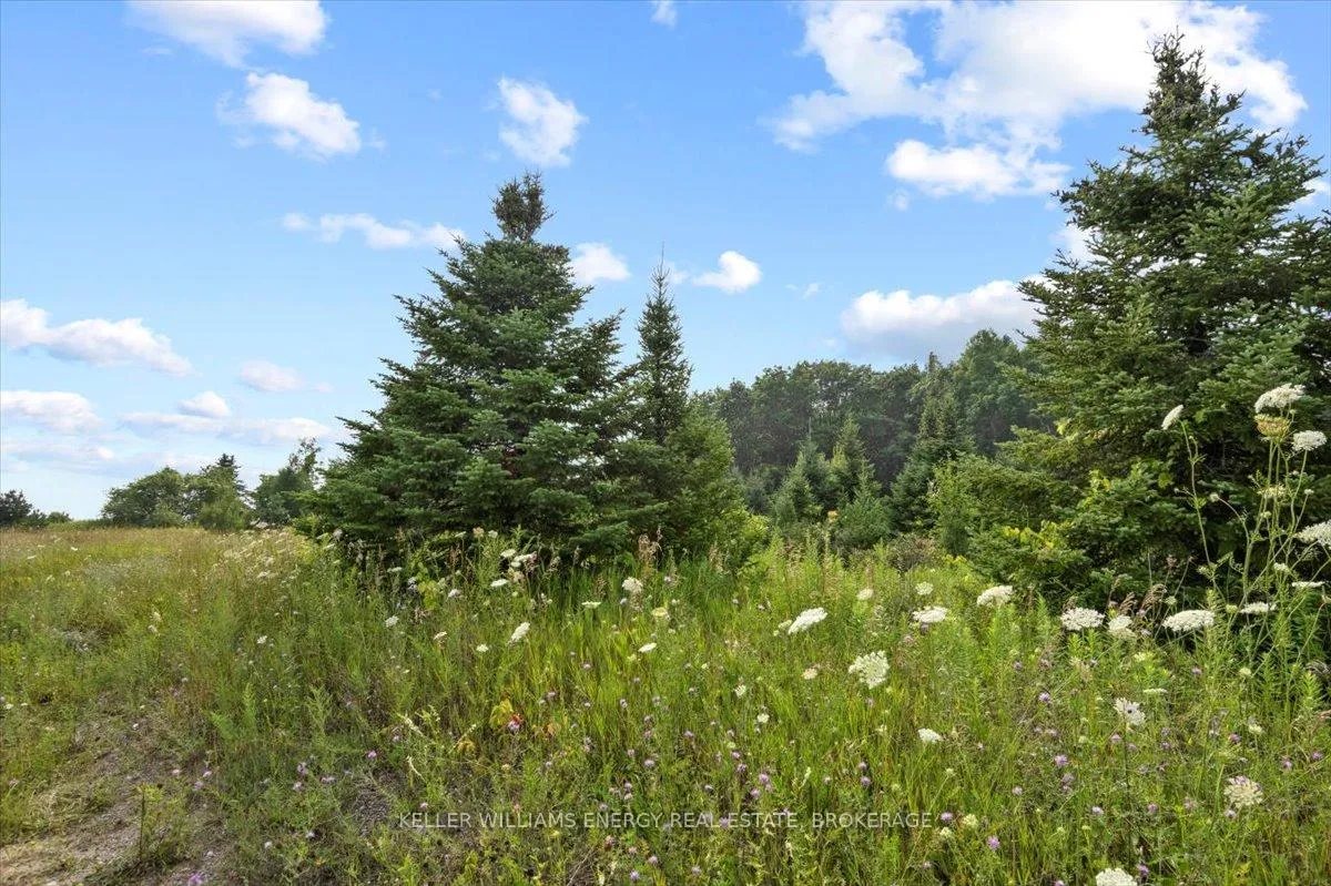Photo 25 of Frank Ritchie Road, Hamilton Township, Rural Hamilton — HOMEH