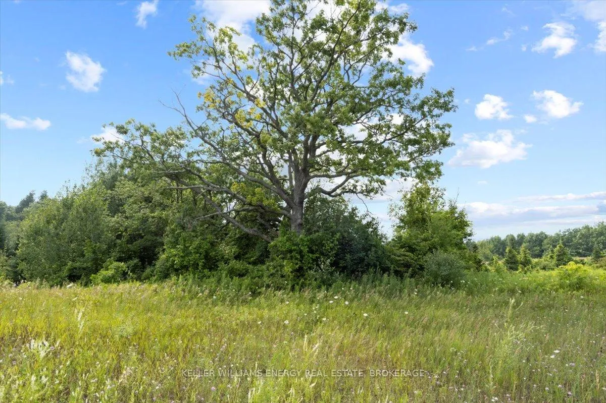 Photo 34 of Frank Ritchie Road, Hamilton Township, Rural Hamilton — HOMEH