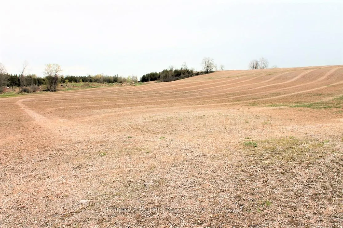Photo 4 of Harold Road, Stirling-Rawdon, Rawdon Ward — HOMEH