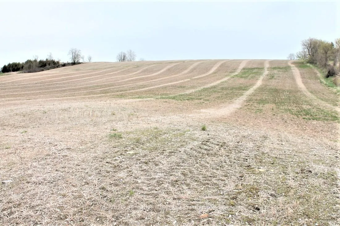Photo 6 of Harold Road, Stirling-Rawdon, Rawdon Ward — HOMEH