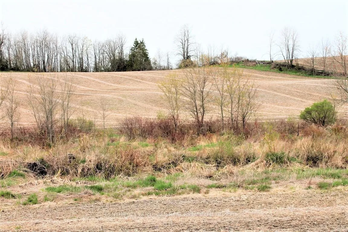 Photo 18 of Harold Road, Stirling-Rawdon, Rawdon Ward — HOMEH
