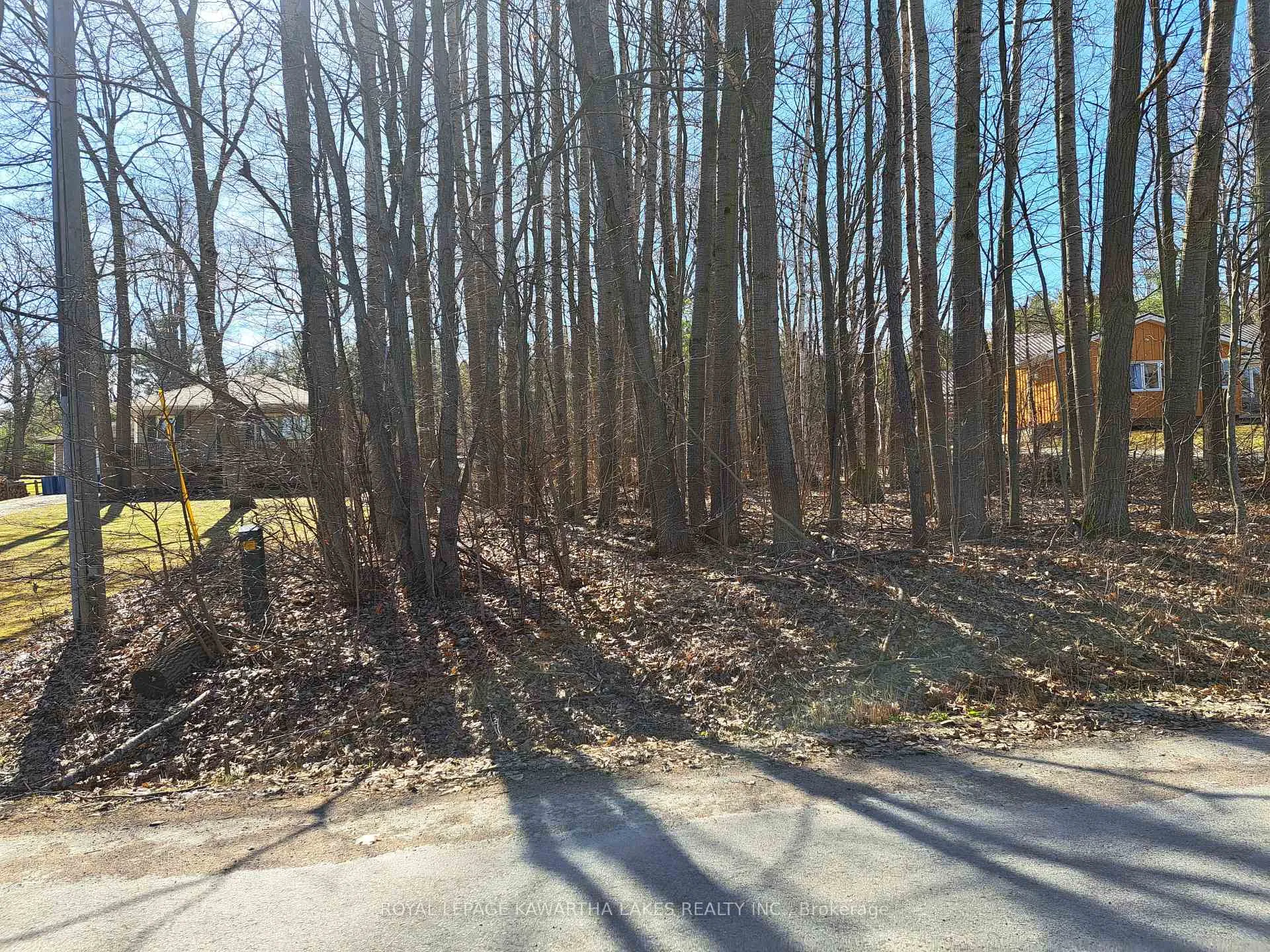 Front of 0 Poplar Drive