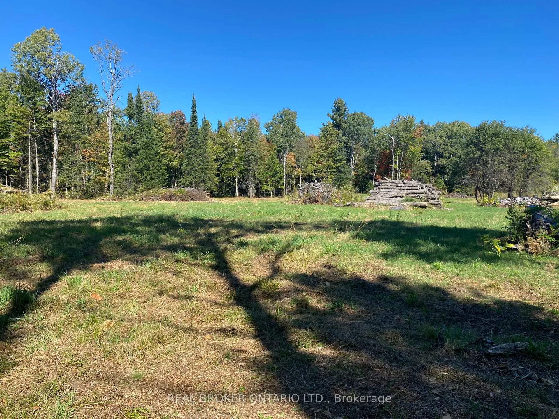 Photo 14 of 1248 Beiers Road, Gravenhurst, Morrison — HOMEH