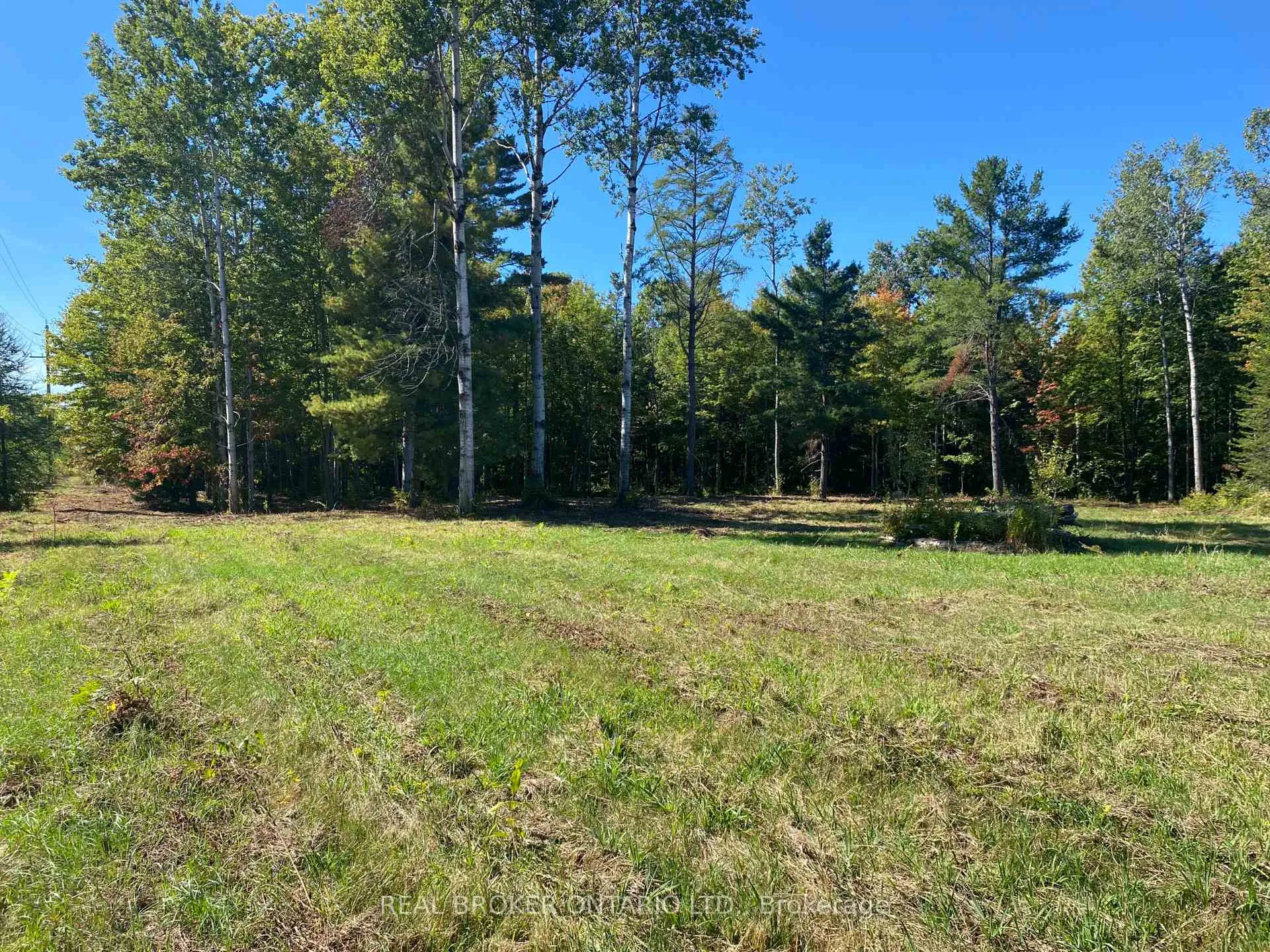 Photo 15 of 1248 Beiers Road, Gravenhurst, Morrison — HOMEH