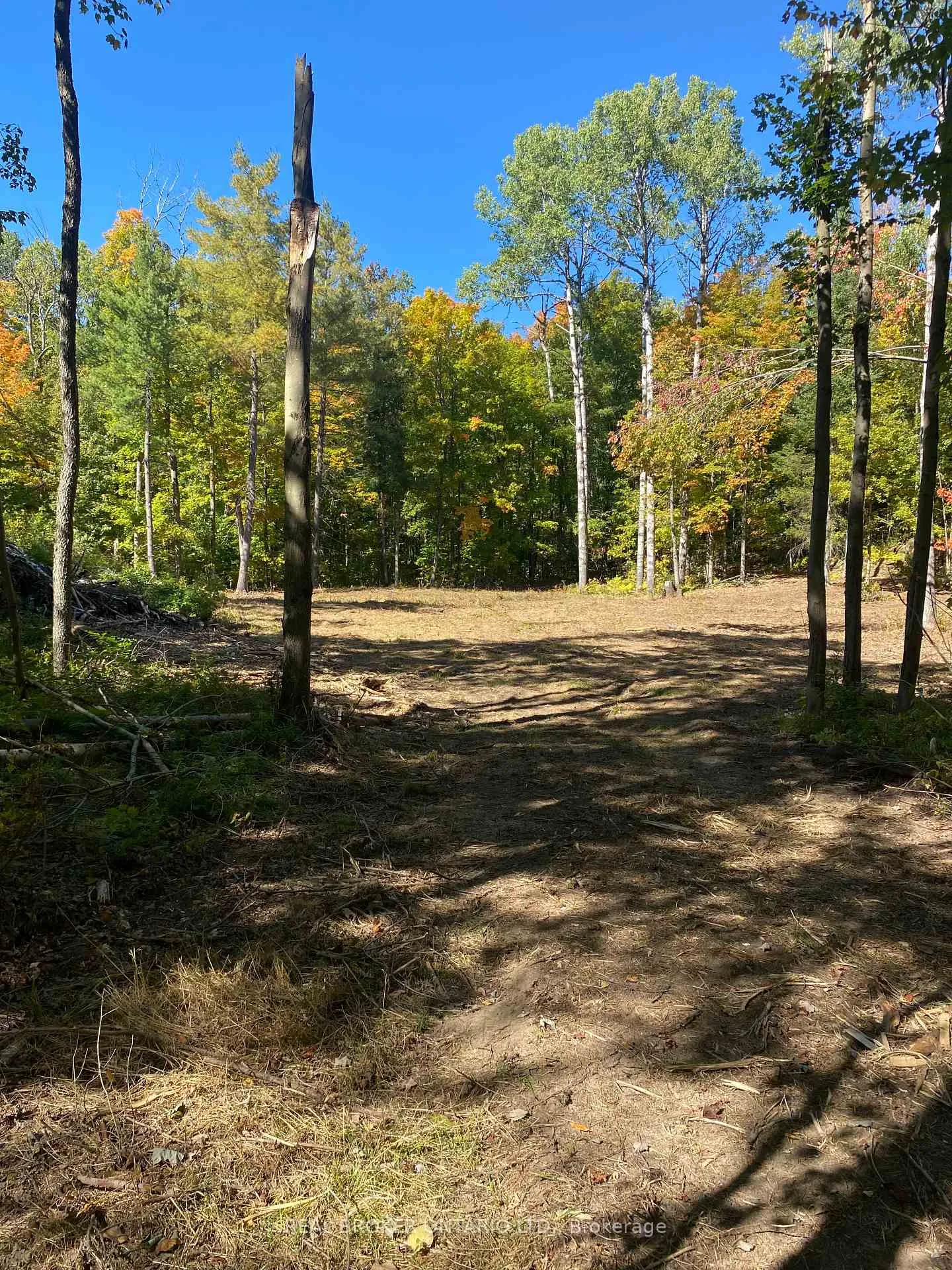 Photo 16 of 1248 Beiers Road, Gravenhurst, Morrison — HOMEH