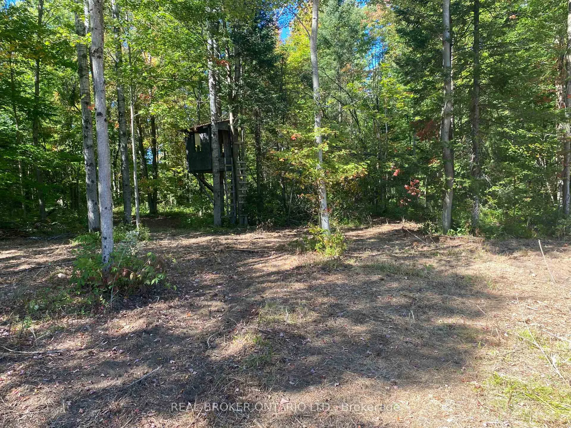 Photo 17 of 1248 Beiers Road, Gravenhurst, Morrison — HOMEH