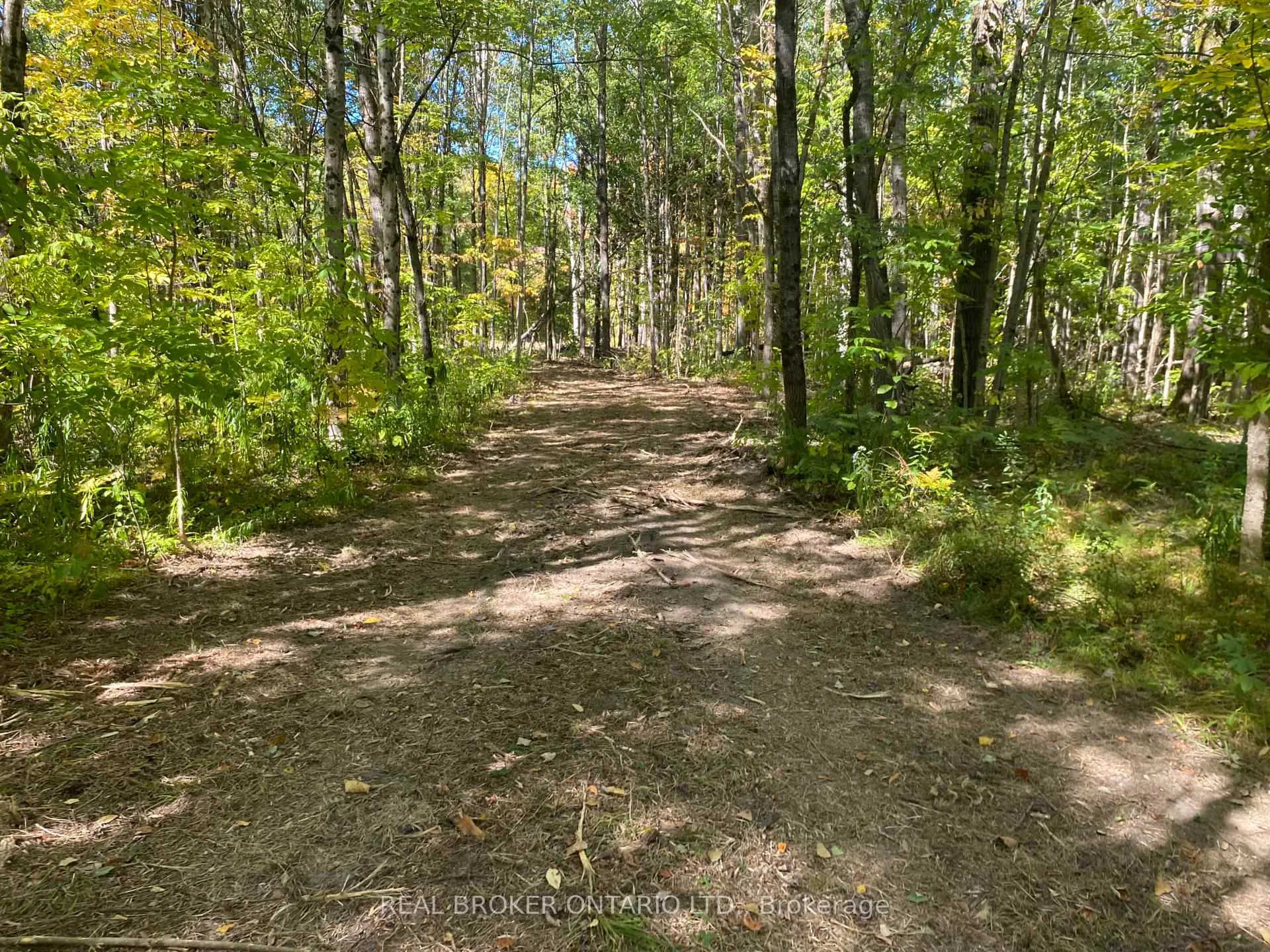 Photo 18 of 1248 Beiers Road, Gravenhurst, Morrison — HOMEH