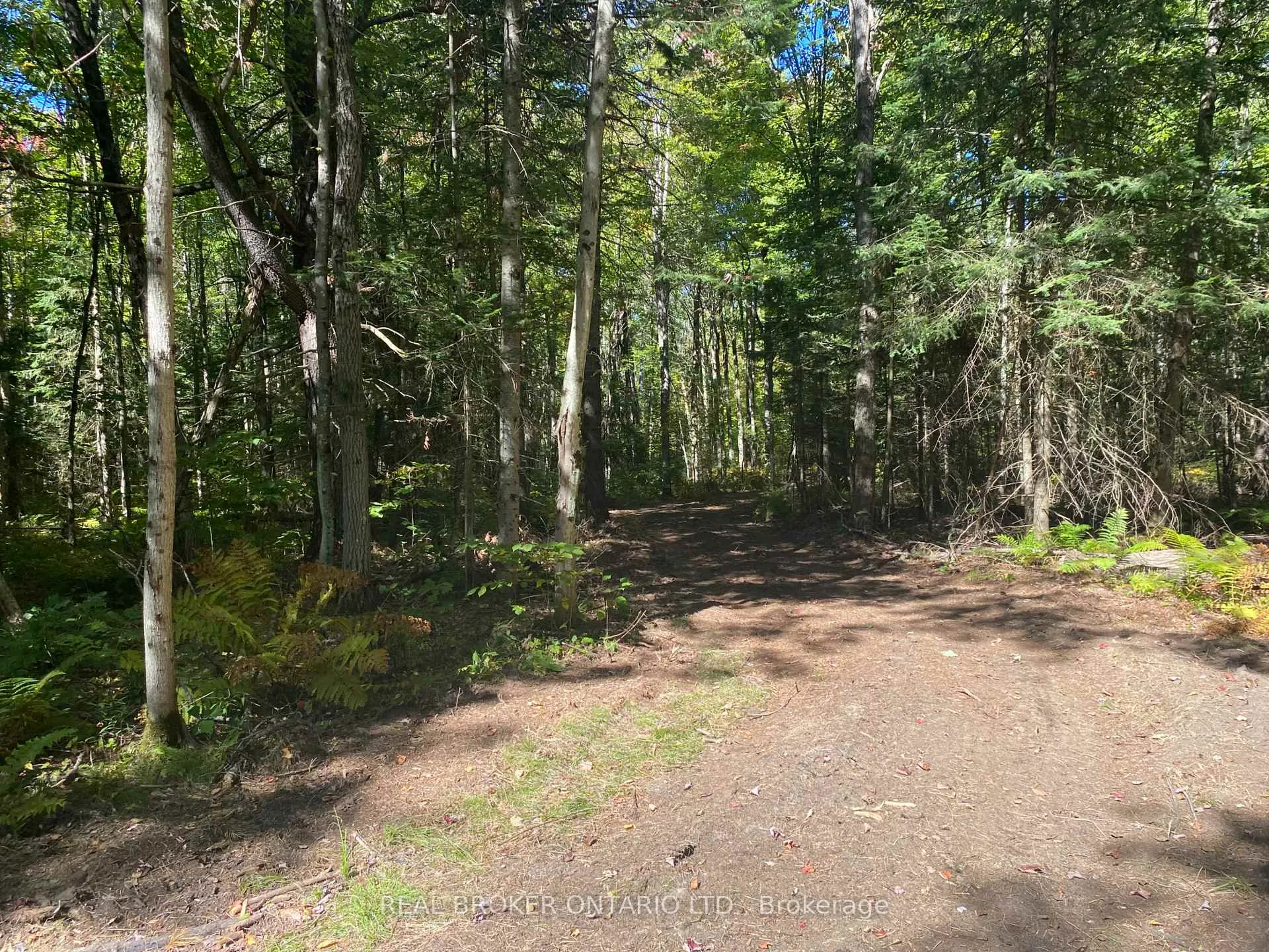 Photo 19 of 1248 Beiers Road, Gravenhurst, Morrison — HOMEH