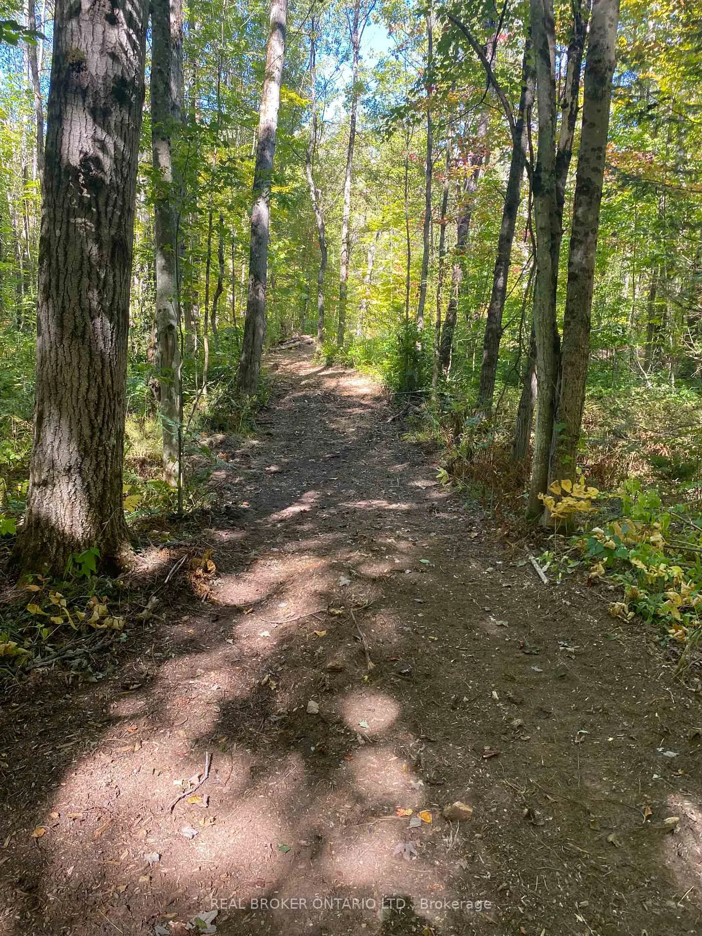Photo 20 of 1248 Beiers Road, Gravenhurst, Morrison — HOMEH