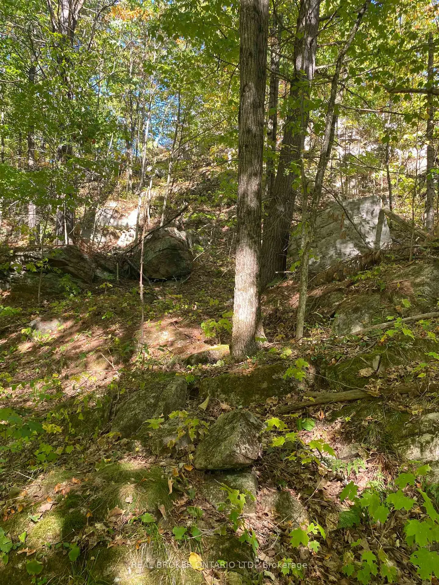 Photo 21 of 1248 Beiers Road, Gravenhurst, Morrison — HOMEH