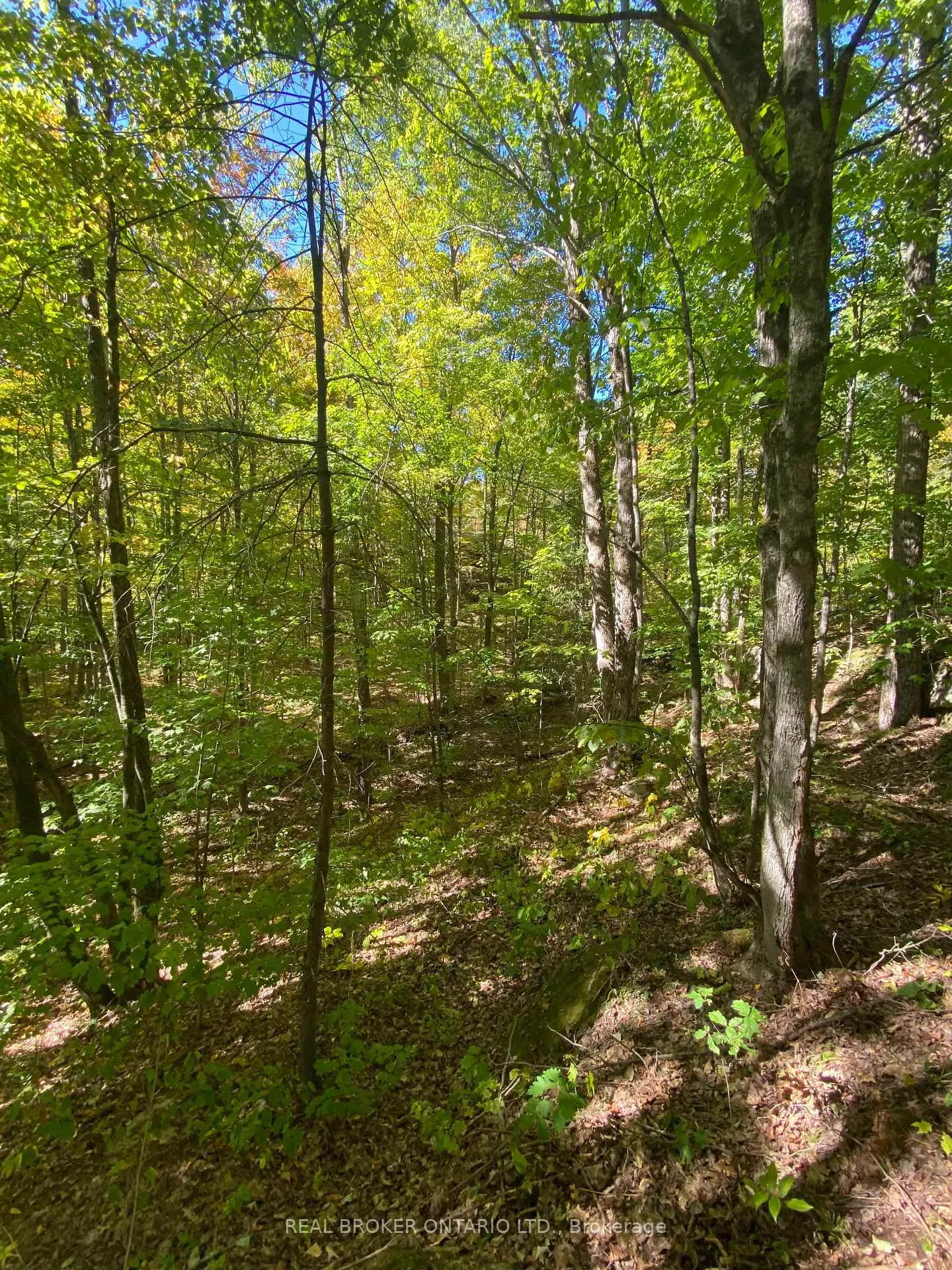 Photo 23 of 1248 Beiers Road, Gravenhurst, Morrison — HOMEH