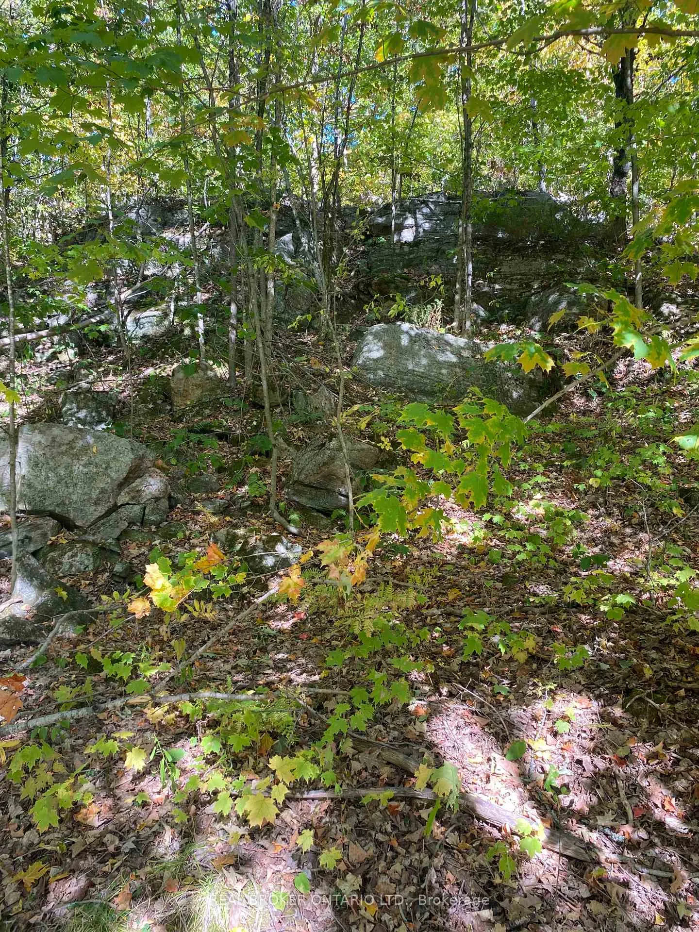 Photo 24 of 1248 Beiers Road, Gravenhurst, Morrison — HOMEH
