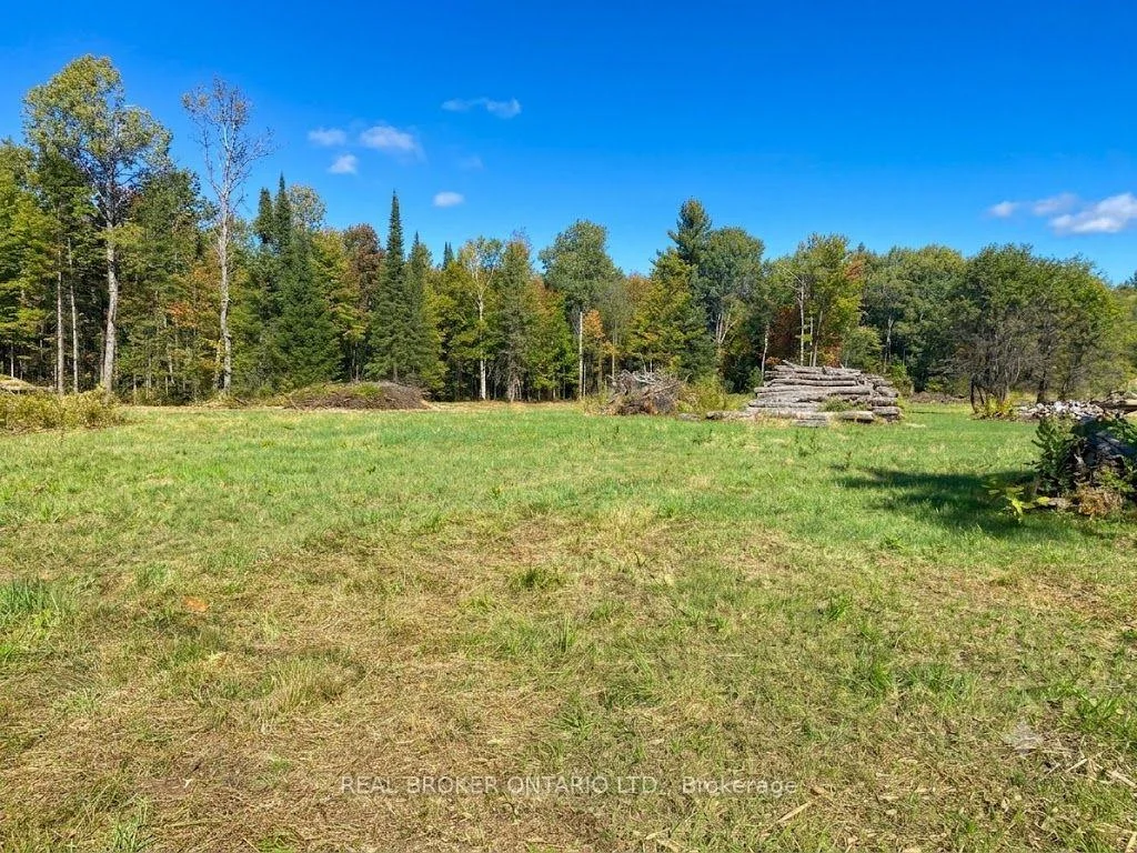 Photo 2 of 1248 Beiers Road, Gravenhurst, Morrison — HOMEH