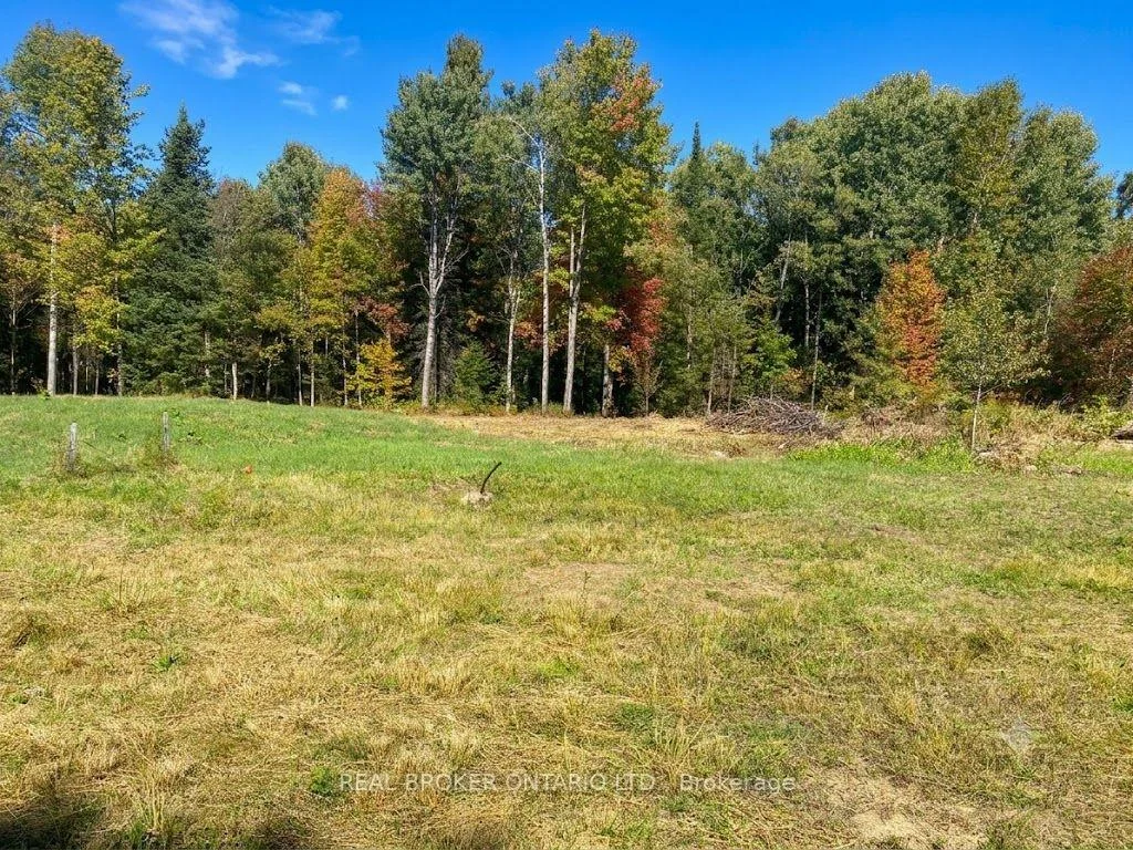 Photo 3 of 1248 Beiers Road, Gravenhurst, Morrison — HOMEH