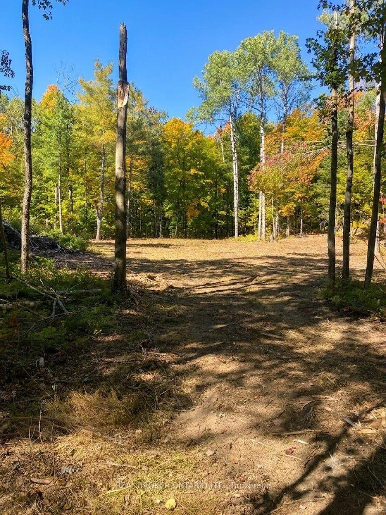 Photo 4 of 1248 Beiers Road, Gravenhurst, Morrison — HOMEH