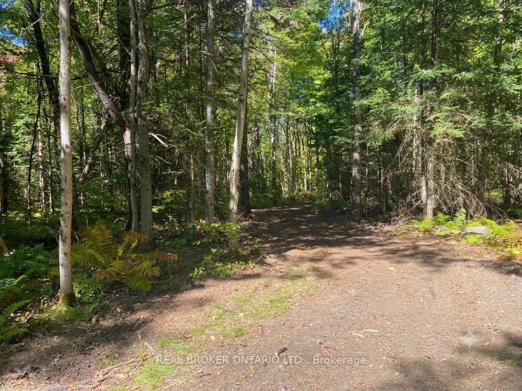 Photo 5 of 1248 Beiers Road, Gravenhurst, Morrison — HOMEH