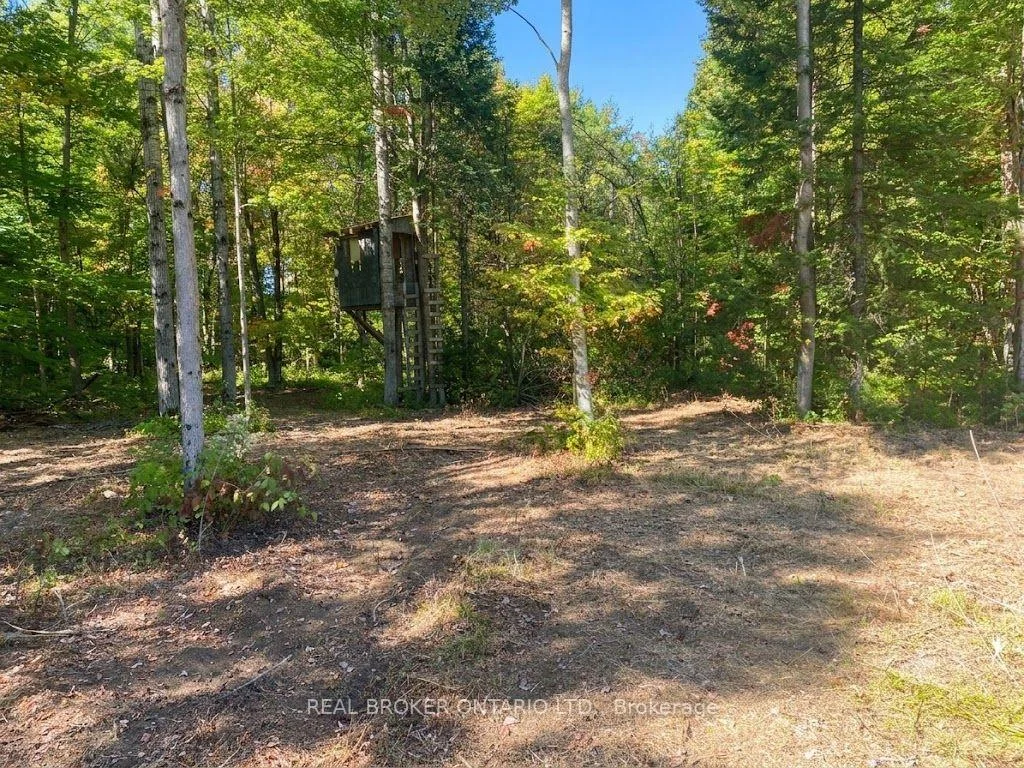 Photo 6 of 1248 Beiers Road, Gravenhurst, Morrison — HOMEH