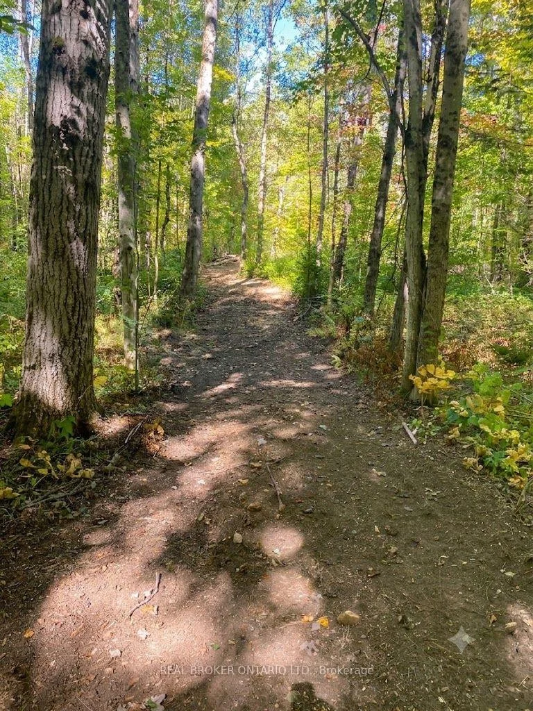 Photo 7 of 1248 Beiers Road, Gravenhurst, Morrison — HOMEH