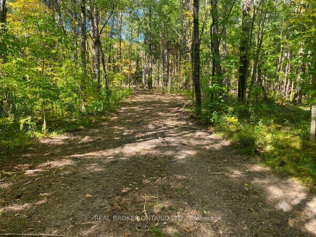 Photo 8 of 1248 Beiers Road, Gravenhurst, Morrison — HOMEH