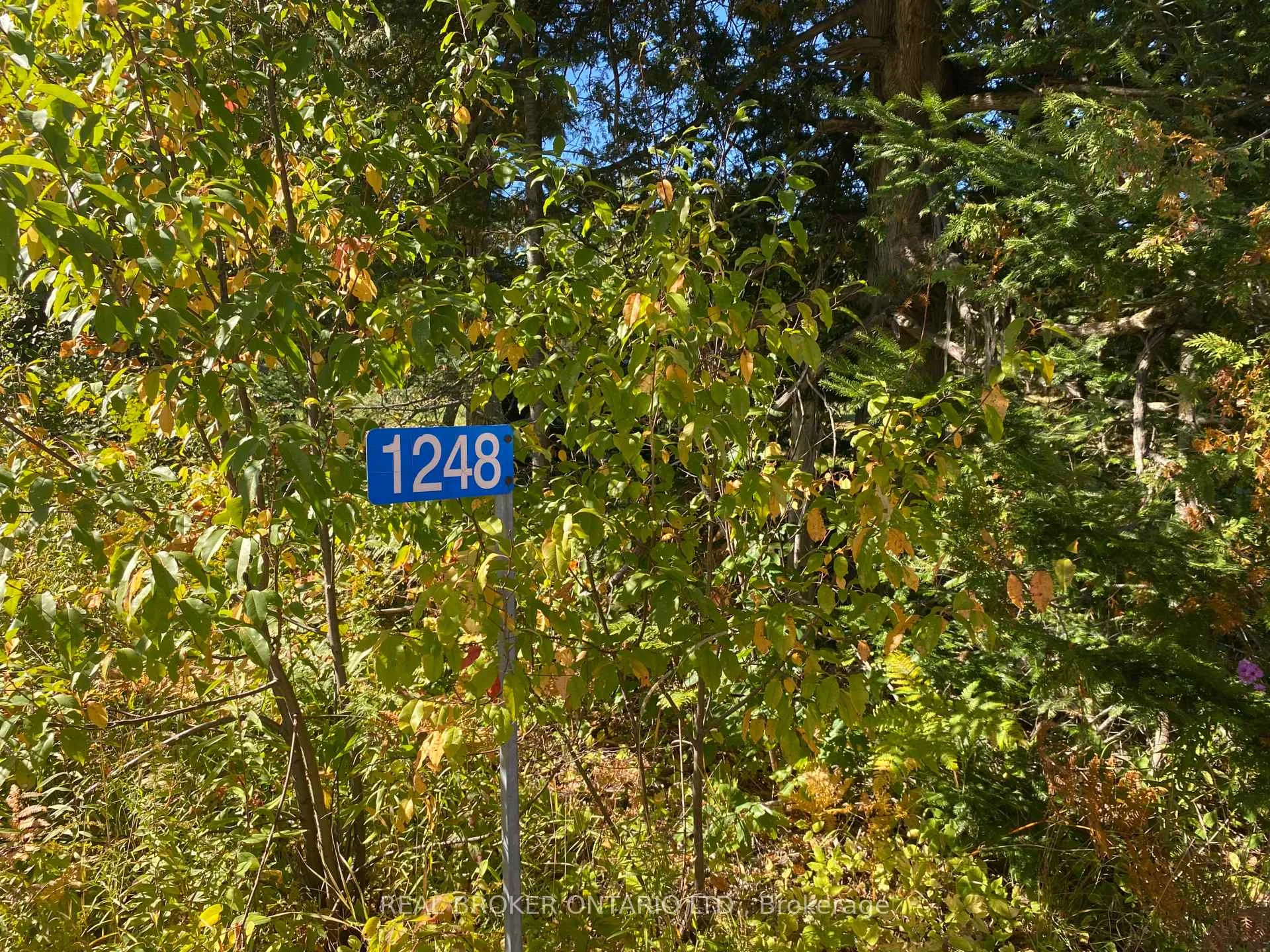 Photo 28 of 1248 Beiers Road, Gravenhurst, Morrison — HOMEH