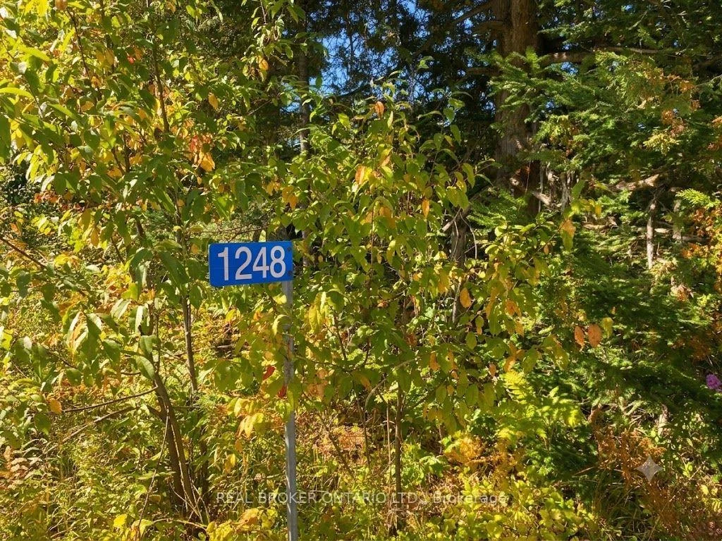 Photo 29 of 1248 Beiers Road, Gravenhurst, Morrison — HOMEH