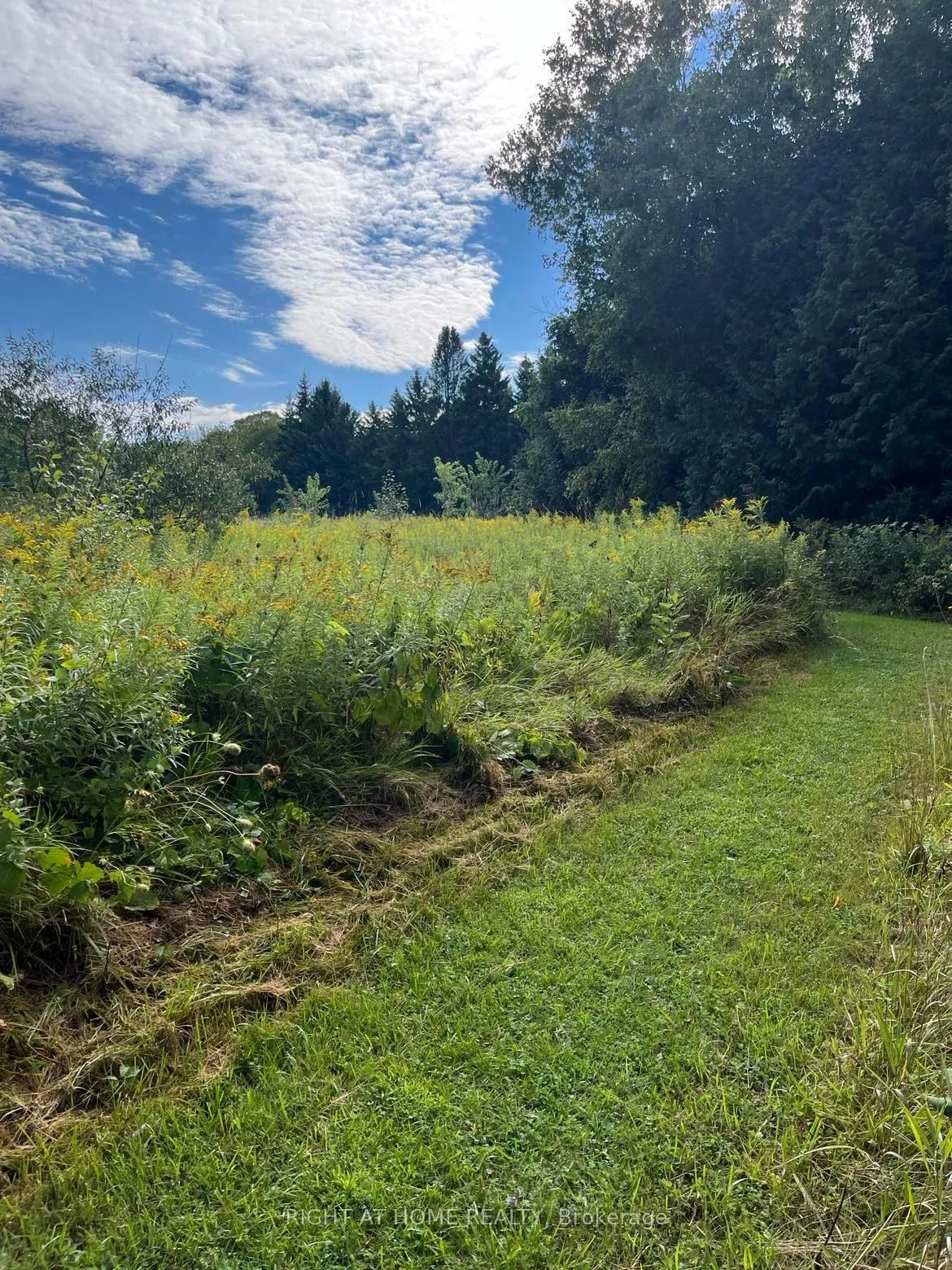 Photo 1 of Hillview Drive, Hamilton Township, Rural Hamilton — HOMEH