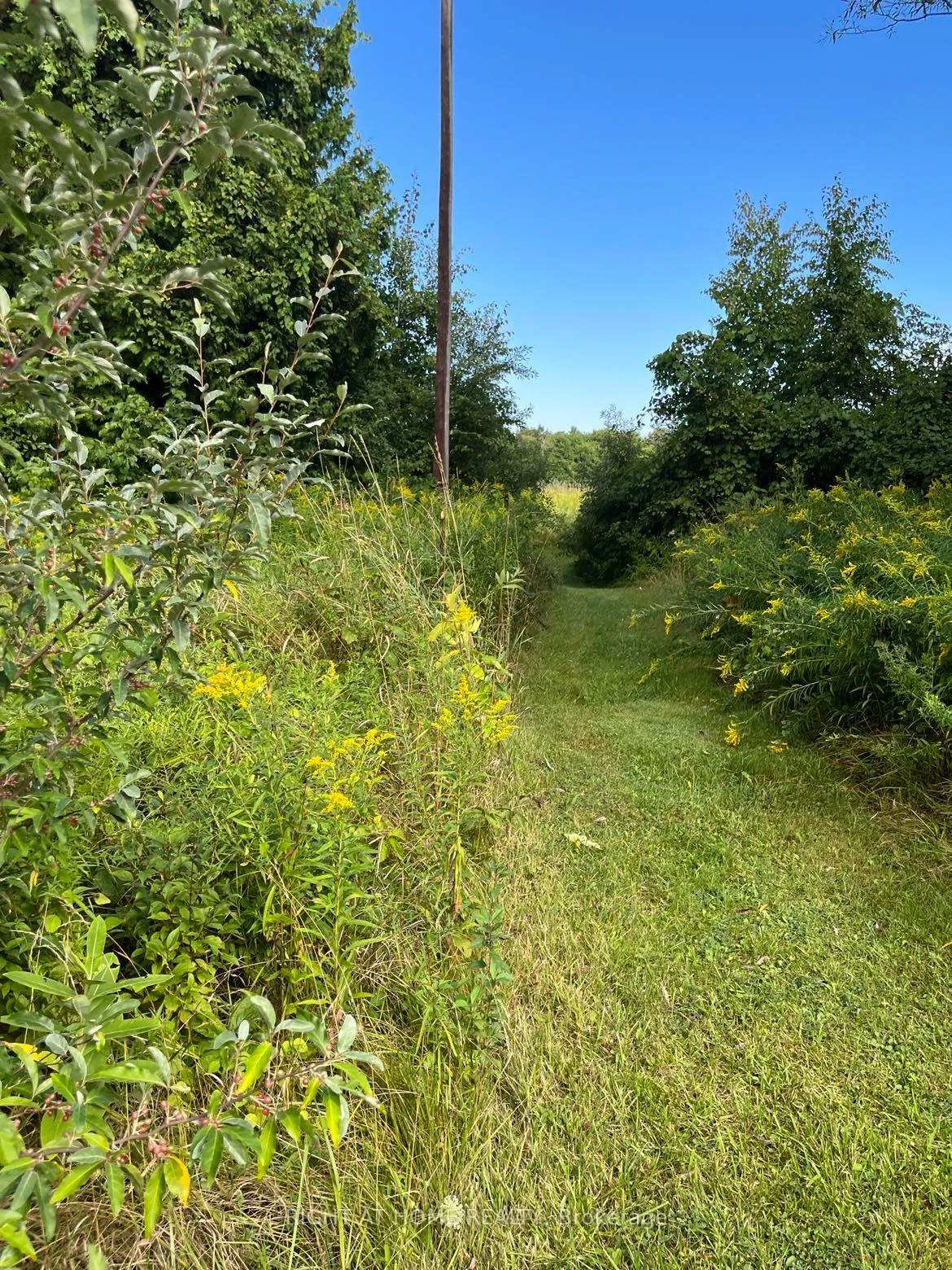 Photo 2 of Hillview Drive, Hamilton Township, Rural Hamilton — HOMEH