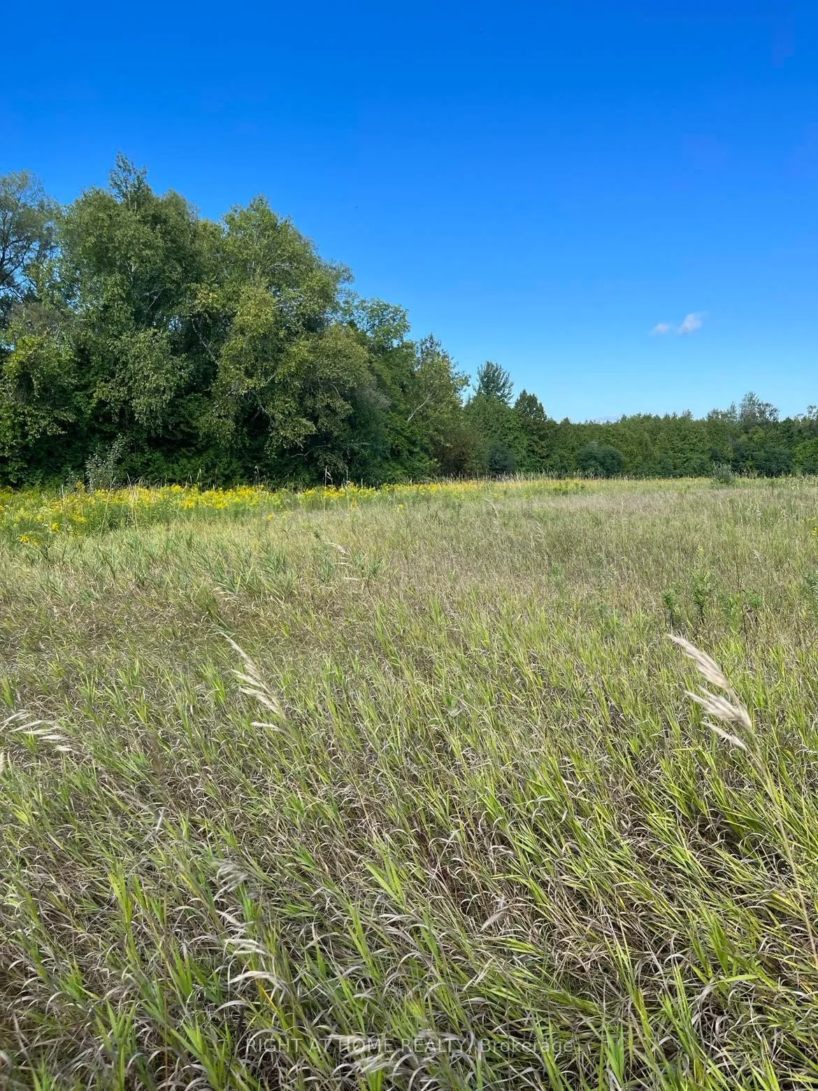 Photo 3 of Hillview Drive, Hamilton Township, Rural Hamilton — HOMEH