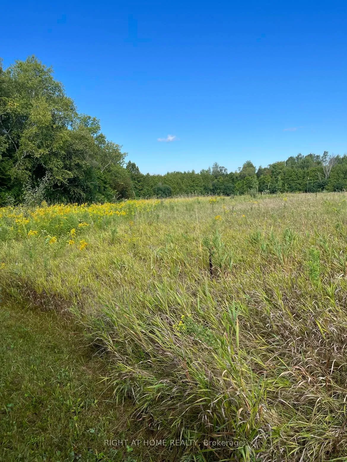 Photo 4 of Hillview Drive, Hamilton Township, Rural Hamilton — HOMEH