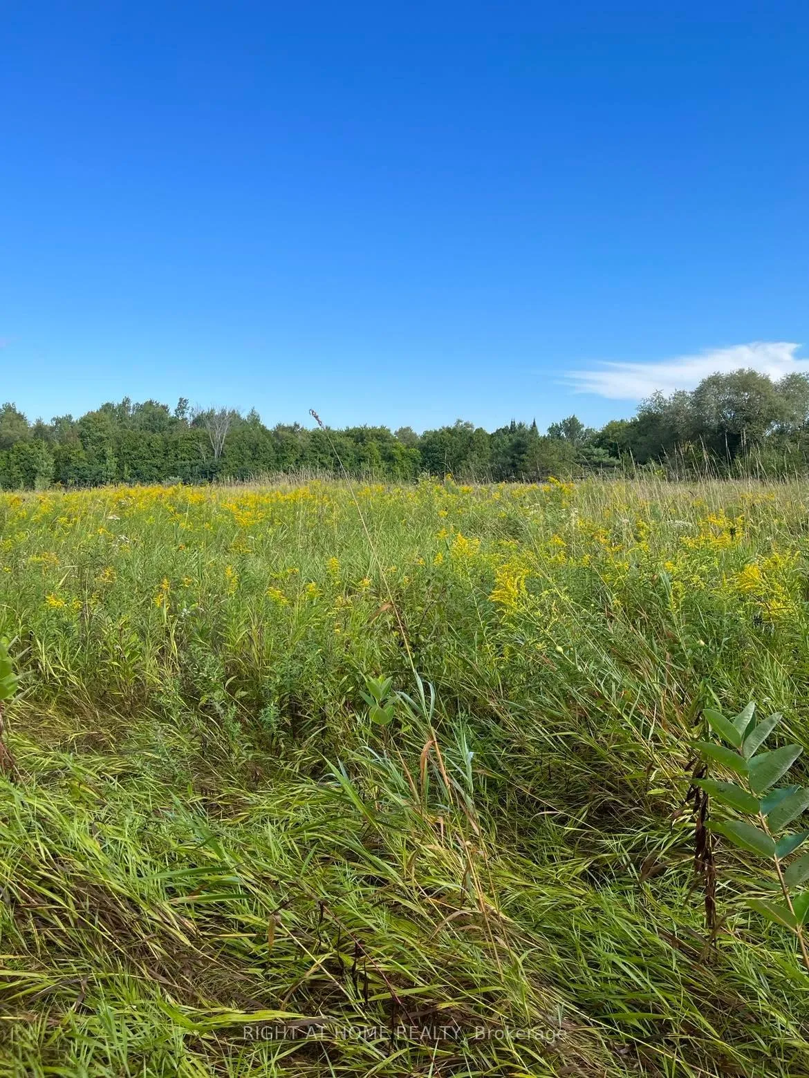 Photo 5 of Hillview Drive, Hamilton Township, Rural Hamilton — HOMEH