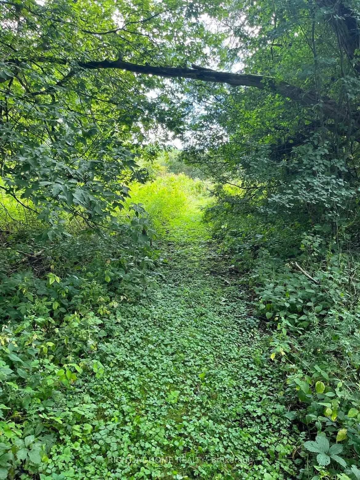 Photo 8 of Hillview Drive, Hamilton Township, Rural Hamilton — HOMEH
