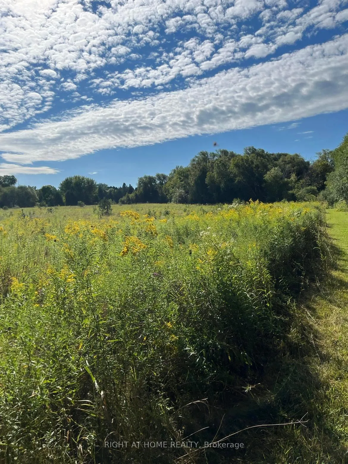 Photo 11 of Hillview Drive, Hamilton Township, Rural Hamilton — HOMEH