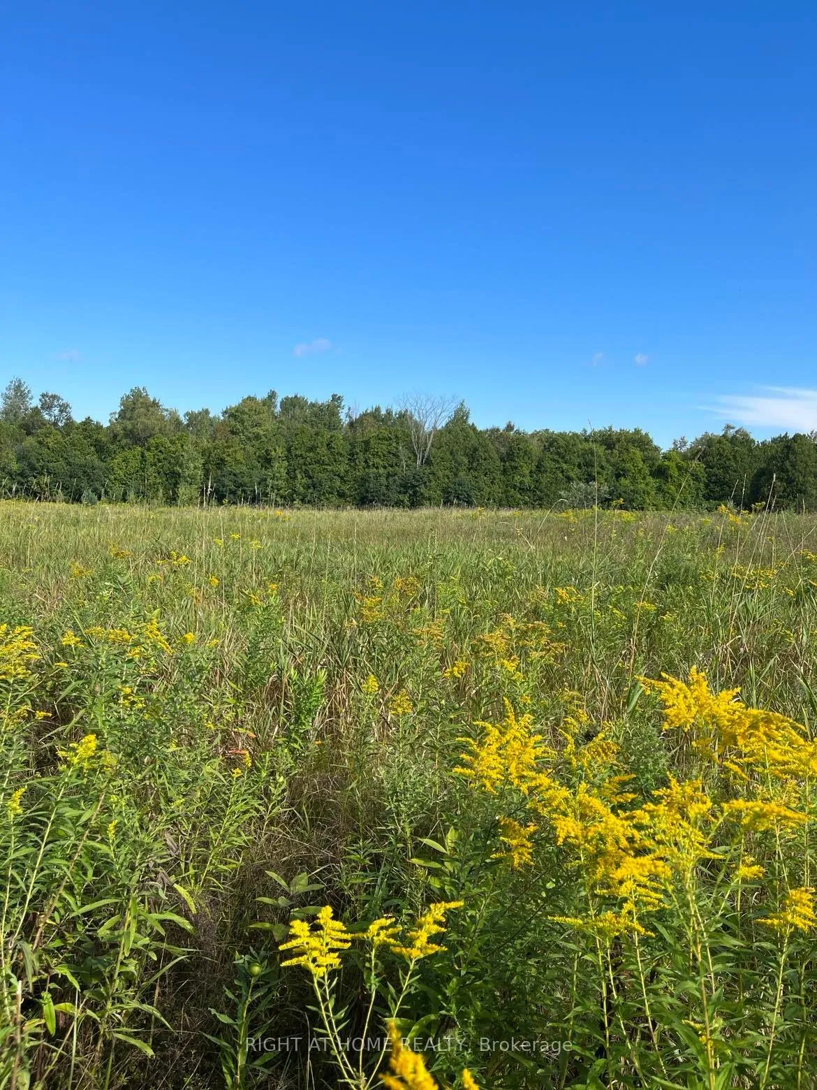 Photo 13 of Hillview Drive, Hamilton Township, Rural Hamilton — HOMEH