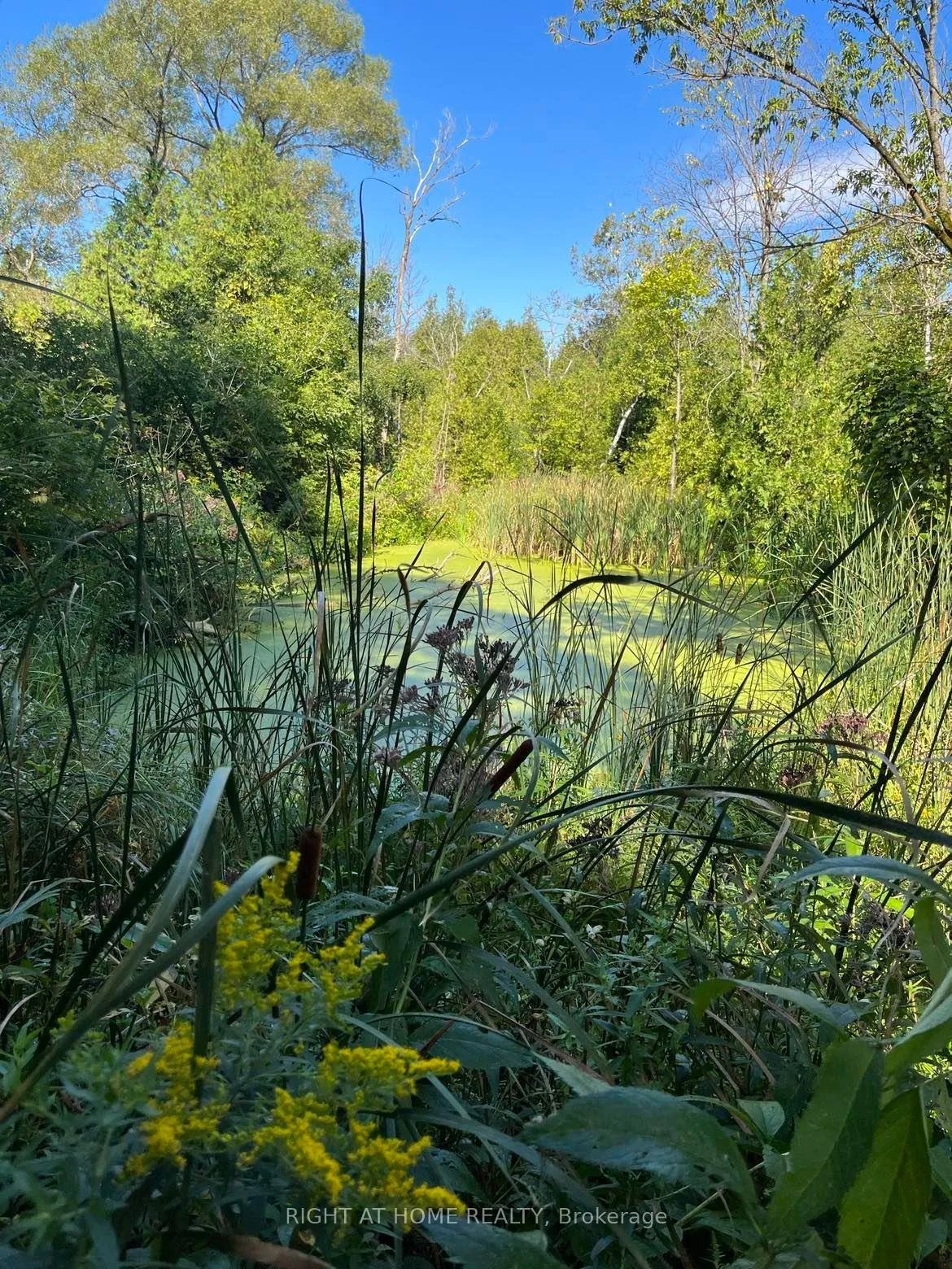 Photo 14 of Hillview Drive, Hamilton Township, Rural Hamilton — HOMEH