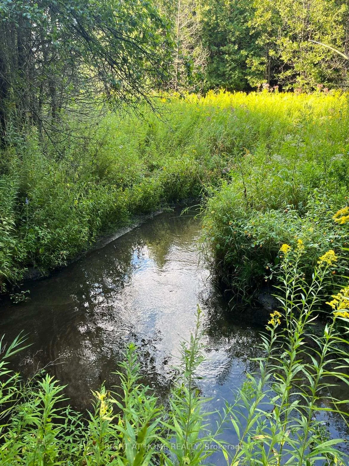 Photo 15 of Hillview Drive, Hamilton Township, Rural Hamilton — HOMEH