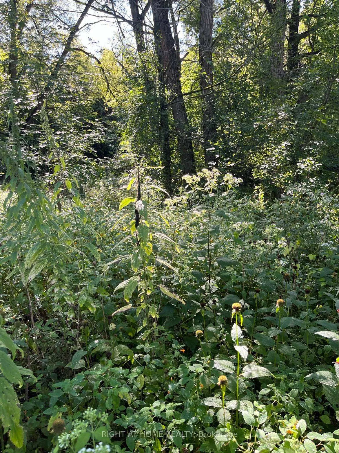 Photo 17 of Hillview Drive, Hamilton Township, Rural Hamilton — HOMEH