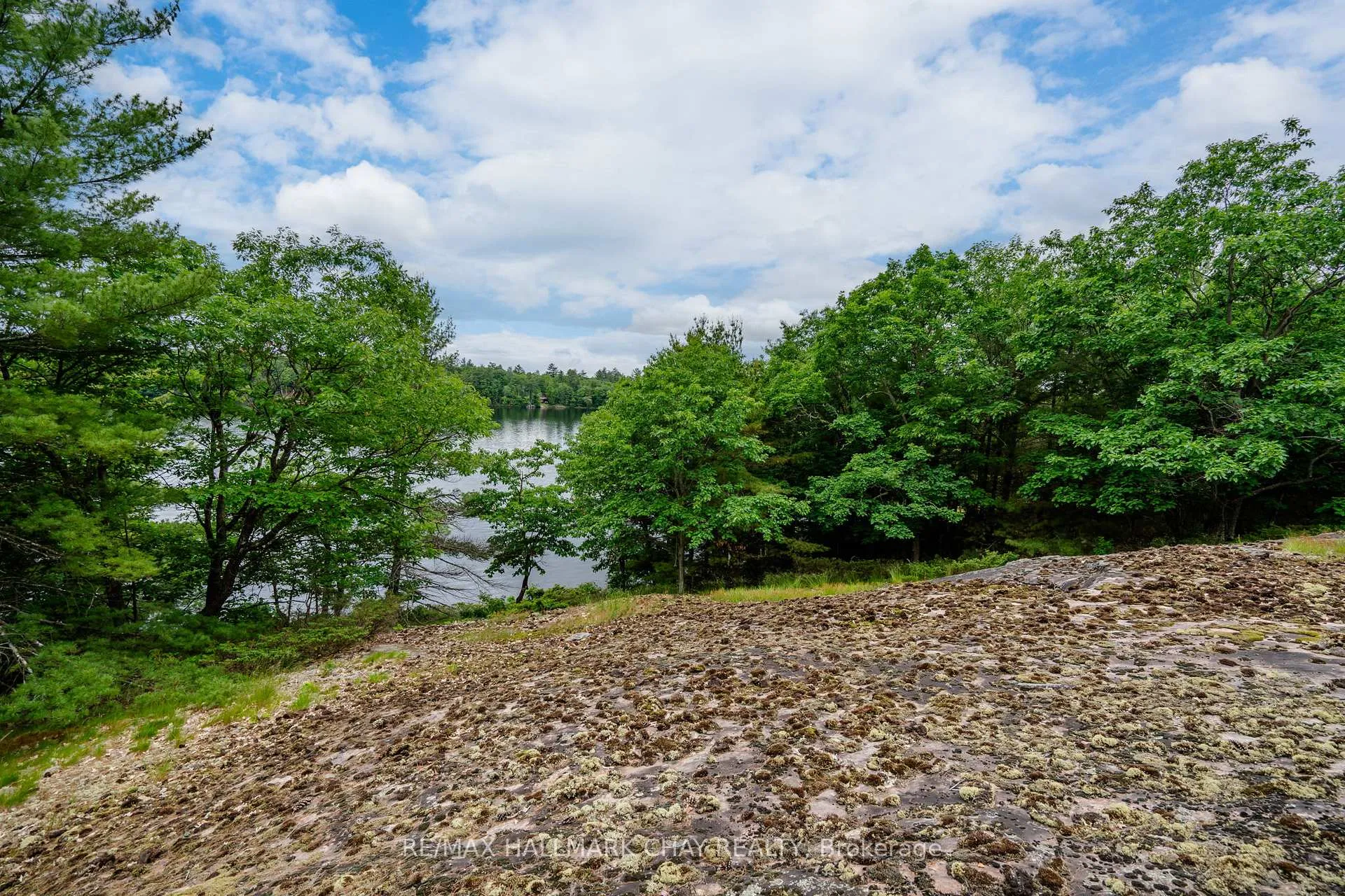 Photo 17 of Lot 1 Delta Road, Severn, Rural Severn — HOMEH