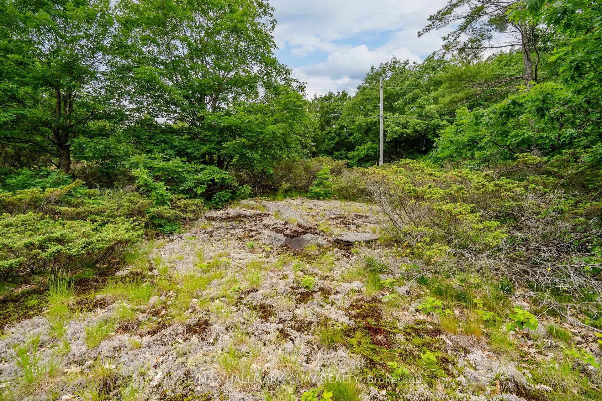 Photo 18 of Lot 1 Delta Road, Severn, Rural Severn — HOMEH