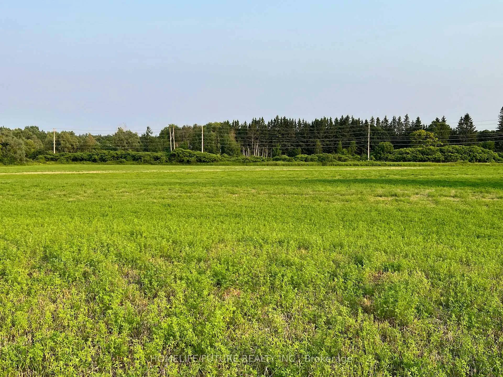 Photo 1 of 925 Townline Road N, Clarington, Courtice — HOMEH