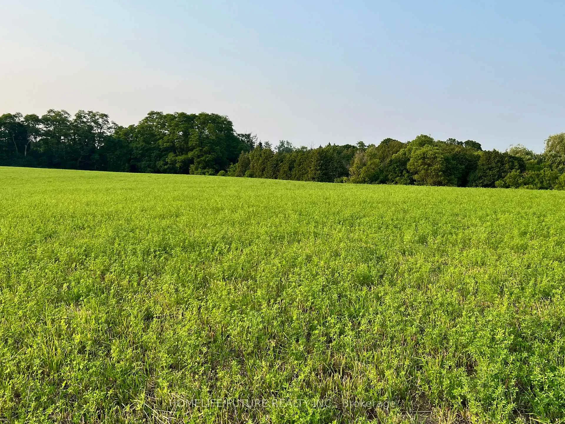 Photo 3 of 925 Townline Road N, Clarington, Courtice — HOMEH