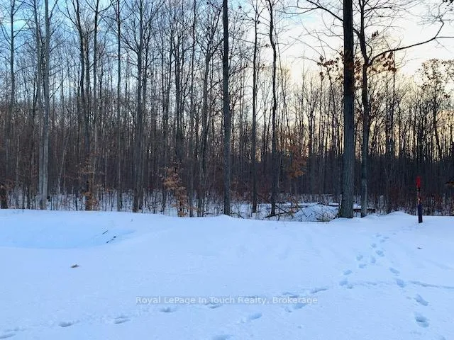 Photo 4 of Lot 64 Whispering Pine Circle, Tiny, Rural Tiny — HOMEH