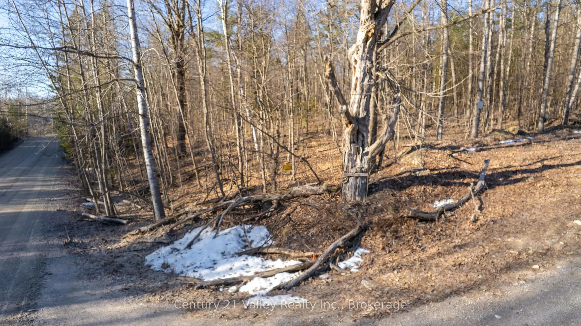 Photo 7 of 01 Mine View Road, Whitewater Region, Whitewater Region — HOMEH