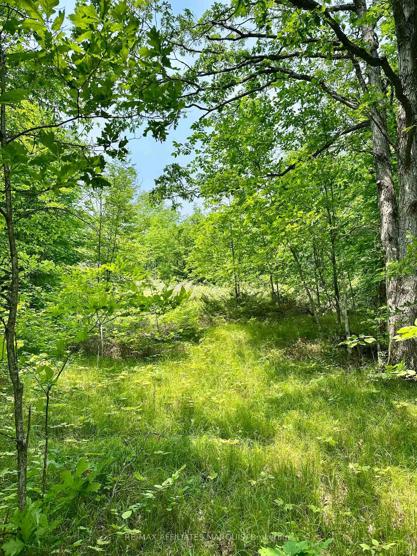 Photo 11 of 00 Harold Brash Lane, Frontenac, Frontenac Centre — HOMEH