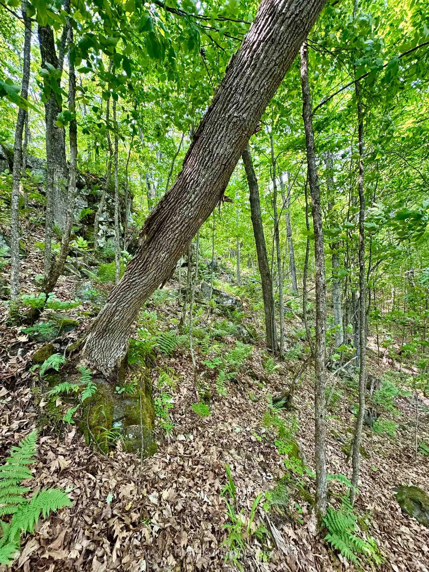 Photo 13 of 00 Harold Brash Lane, Frontenac, Frontenac Centre — HOMEH