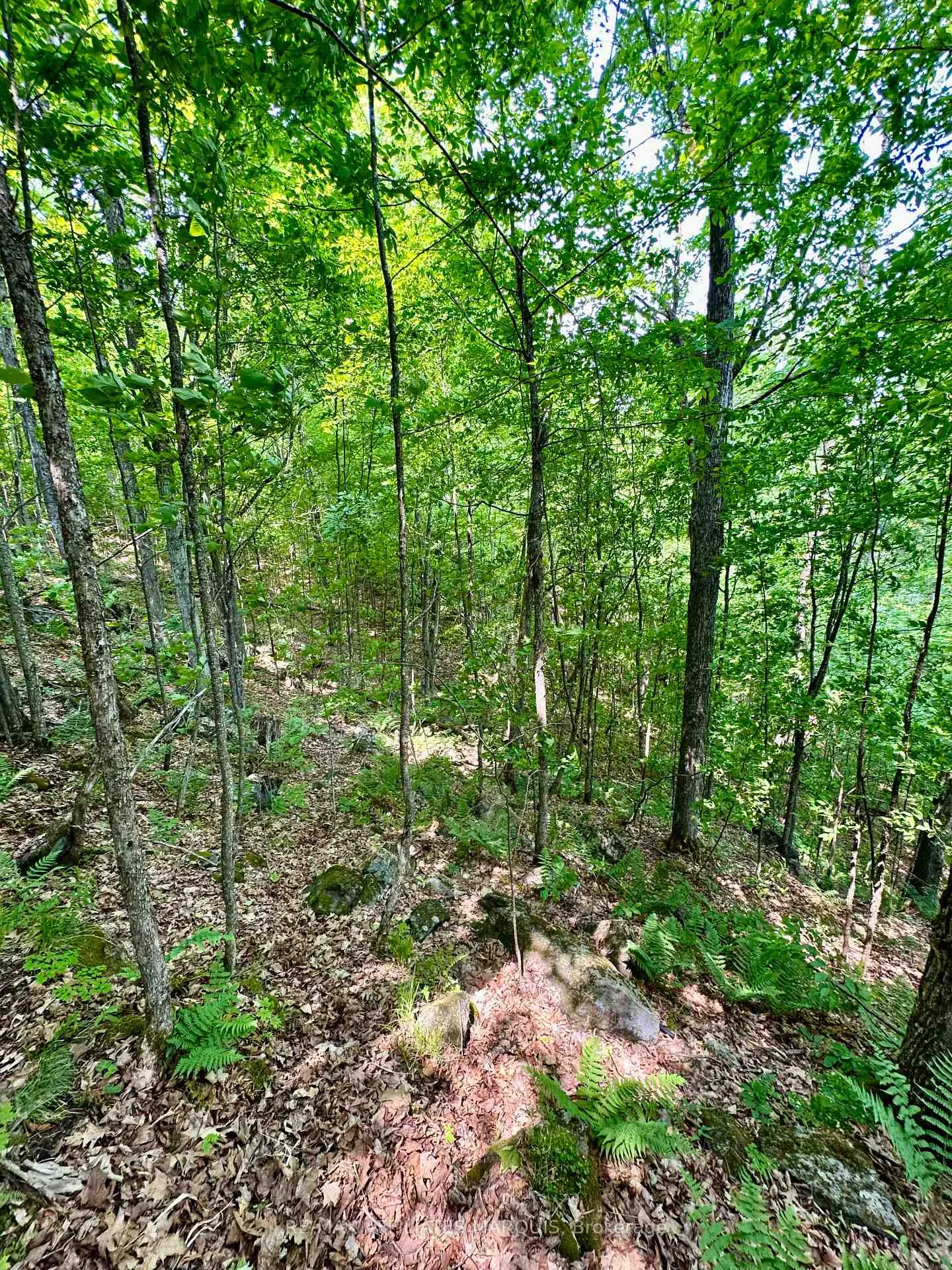 Photo 15 of 00 Harold Brash Lane, Frontenac, Frontenac Centre — HOMEH