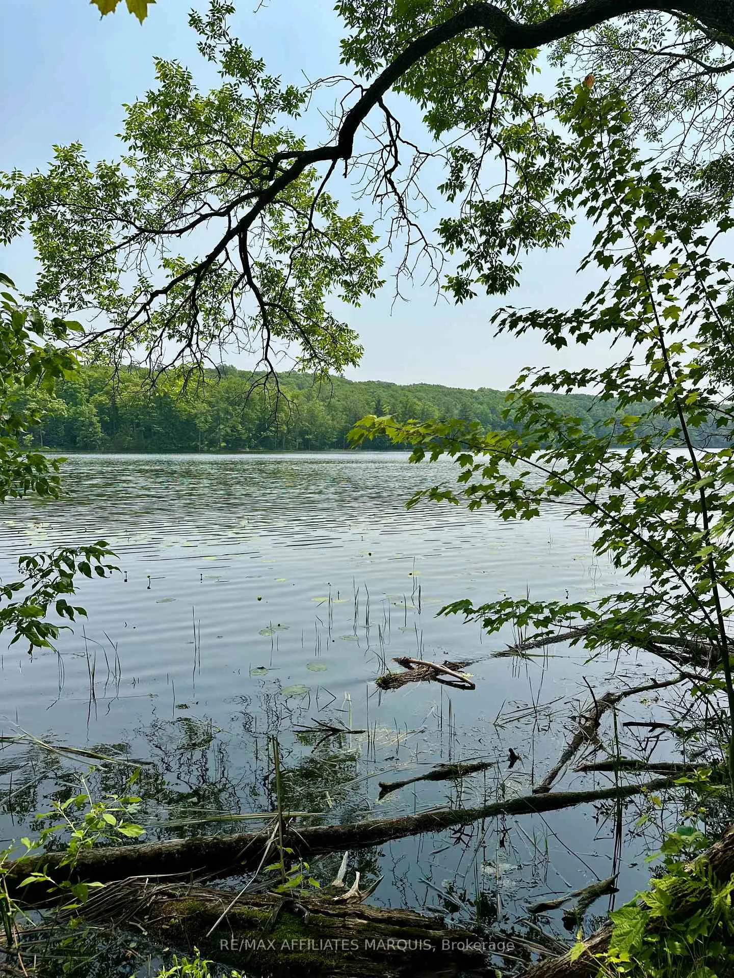 Photo 8 of 00 Crow Lake Road, Frontenac, Frontenac Centre — HOMEH